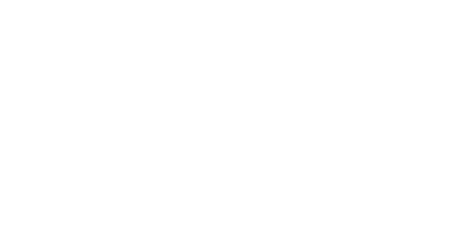award Bear in Bronze 2012
